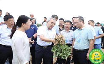 河北花生产业融合发展新态势成效初显