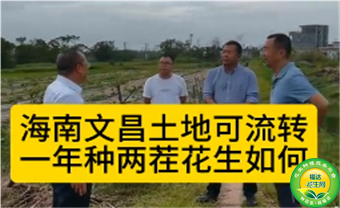  海南文昌土地可流转，一年种两茬花生如何？