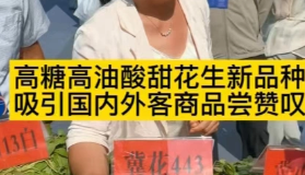 高糖高油酸甜花生新品种，国内外客商现场品尝后，兴趣极大！
