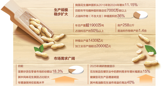 一颗“国民坚果”的进化—花生“生花”（三餐四季）人民日报
