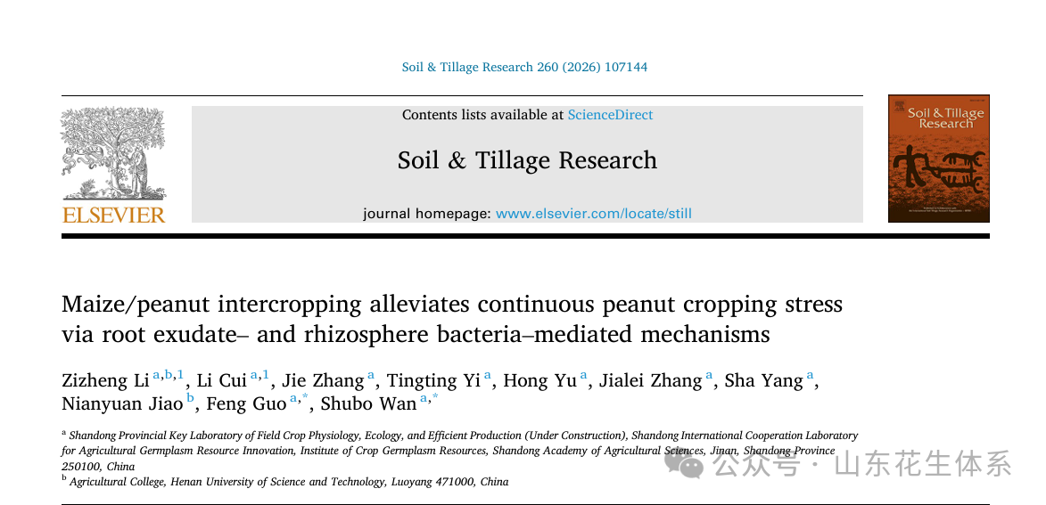 山东省花生体系岗位专家郭峰团队在花生连作障碍缓解机制研究中取得重要进展