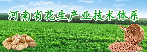 河南省花生产业技术体系