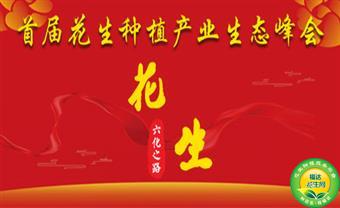 大会