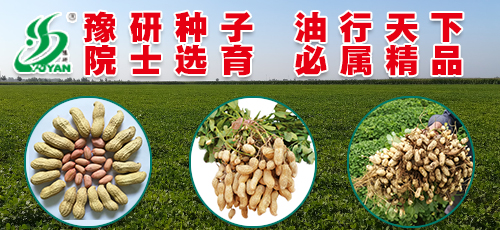 豫研